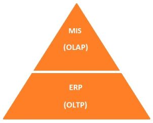 MIS ERP Triangel Small.jpg