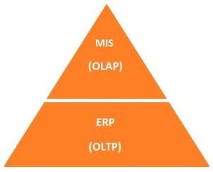 MIS ERP Triangel Small.jpg