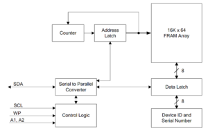 Bcgg3.2.png