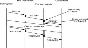 Tg dp010.jpg