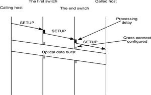 Tg dp011.jpg